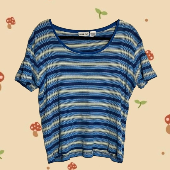 Blue and cream striped cropped tee Measurements: Size: XL  Brand: White Stag - Picture 1 of 4